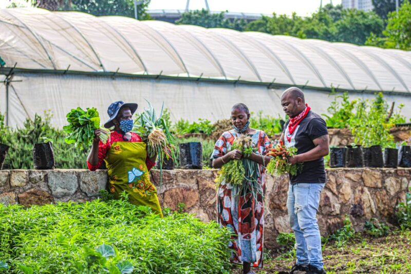 Johannesburg: Pan-African Cooking & Dinning Experience - Discovering African Cuisine Diversity