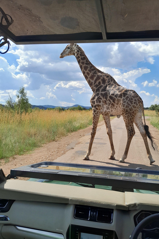 Johannesburg: Pilanesberg National Park 2-Day Private Safari - Included and Excluded Offerings