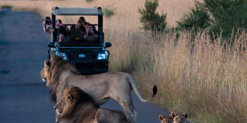 Johannesburg: Pilanesberg Nature Reserve Game Safari - Key Points