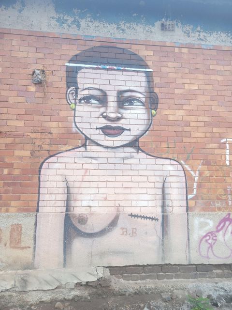 Johannesburg: Pretoria, Apartheid & Soweto Small-Group Tour - Inclusions and Exclusions