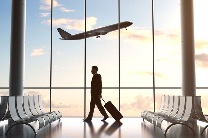 Johannesburg: Private Transfers From Airport to Hotel/Game Lodge - Accessibility and Participation