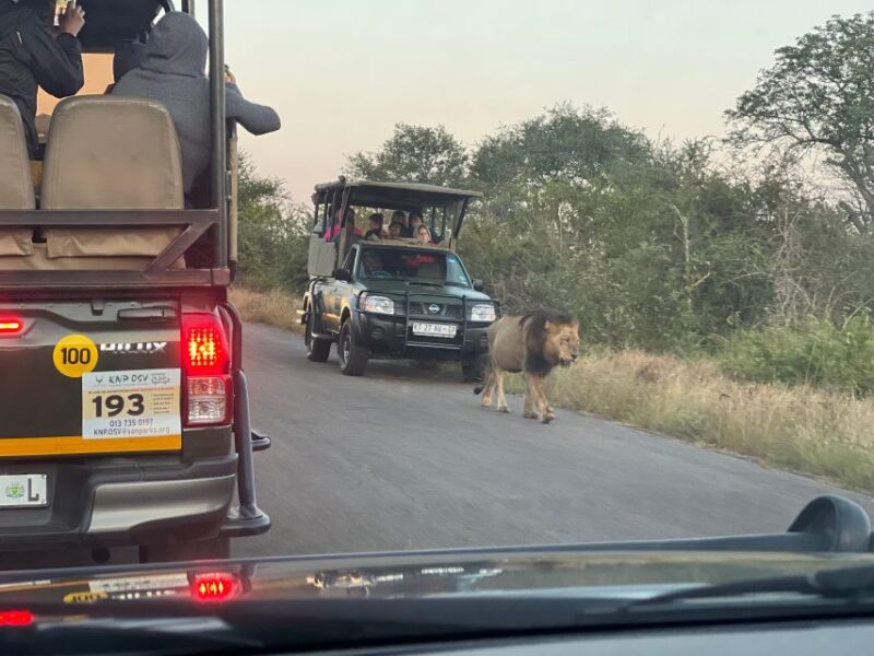 Johannesburg Safari Day Tour - Pilanesberg Big 5 Adventure - Key Points