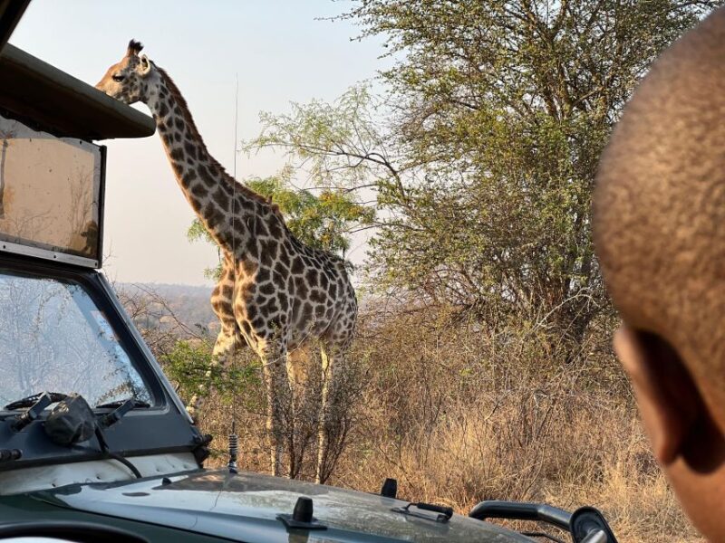 Johannesburg Safari Day Tour - Pilanesberg Big 5 Adventure - Diverse Ecosystems