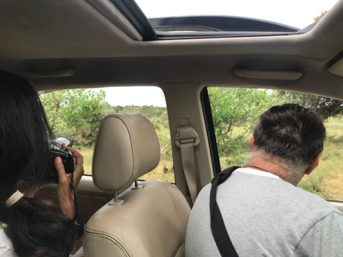 Johannesburg Safari Day Tour - Pilanesberg Big 5 Adventure - Inclusions and Amenities