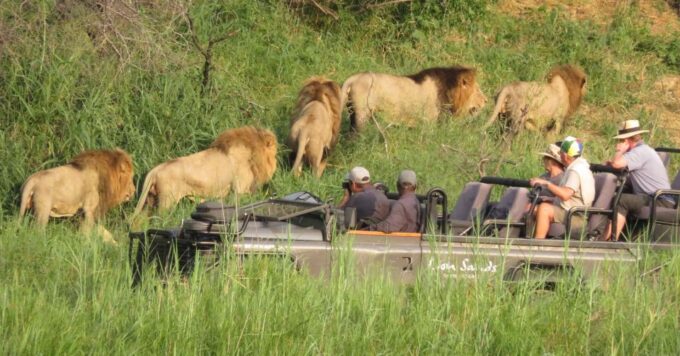 Johannesburg Safari Day Tour - Pilanesberg Big 5 Adventure - Frequently Asked Questions