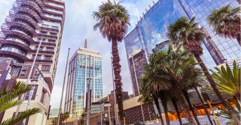 Johannesburg: Walking Custom Tour With a Local Guide - Key Points