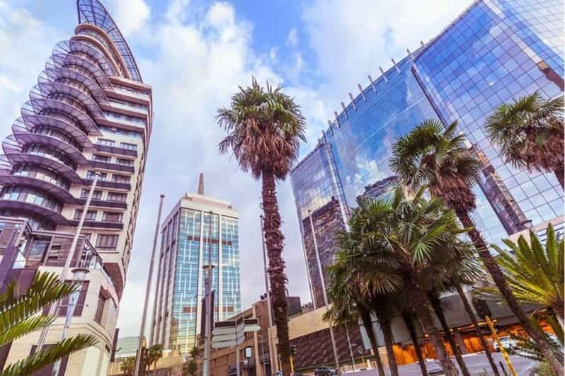Johannesburg: Walking Custom Tour With a Local Guide - Tour Overview
