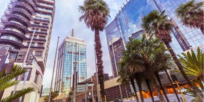 Johannesburg: Walking Custom Tour With a Local Guide - Highlights of the Experience
