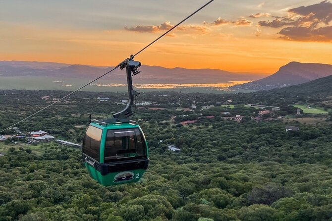 Johannesburg: Wine Tasting and Cableway Half Day Tour - Customer Review Highlights