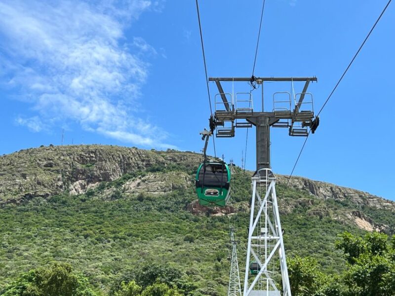 Johannesburg: Wine Tasting and Cableway Half Day Tour - Pickup and Transportation