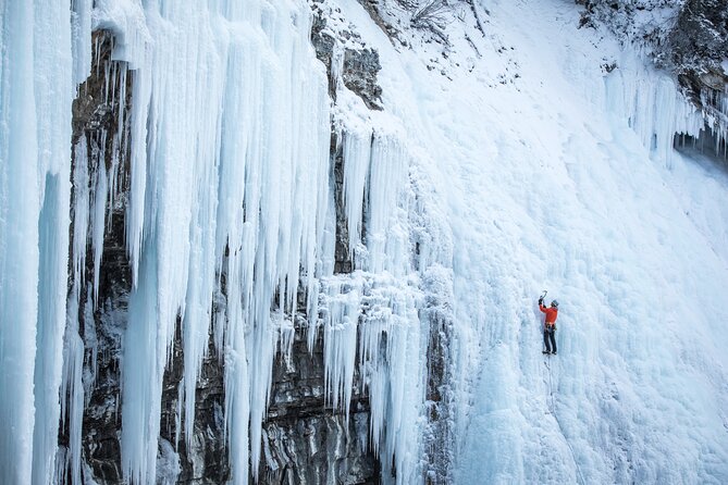 Johnston Canyon Frozen Waterfalls & Banff Backroads Wildlife Tour - Transportation and Guides