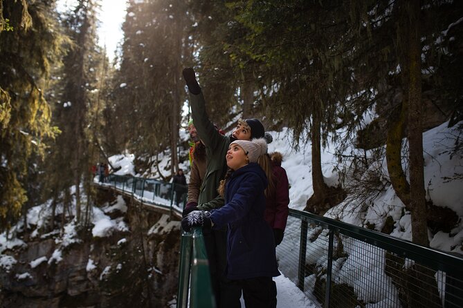 Johnston Canyon Frozen Waterfalls & Banff Backroads Wildlife Tour - Group Size and Duration