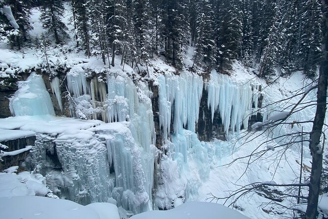 Johnston Canyon Private Guided Icewalk - Accessibility Considerations