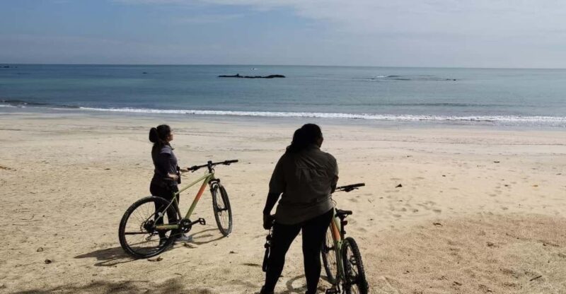 Johor: Desaru Coast Cycling - Key Points