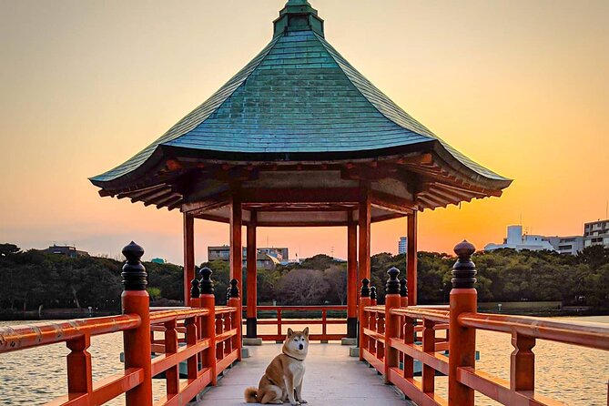 Join Fukuoka Adventure Friendly Tour With a Local Guide - Taking in Local Culture and Traditions