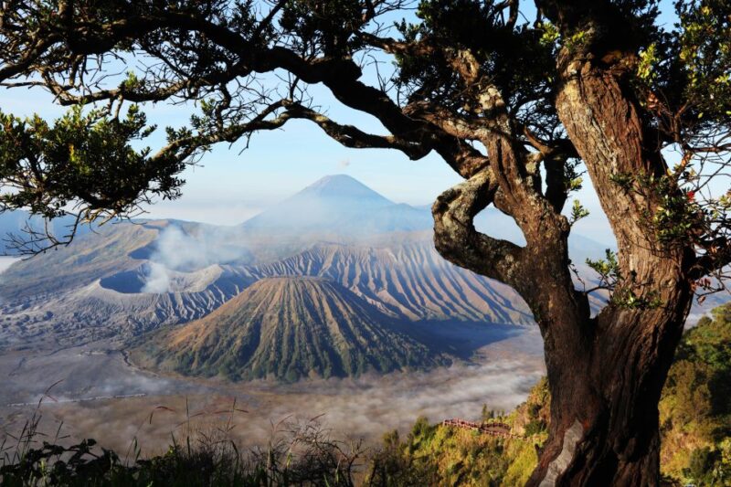 Join in Trip : 2D1N Tumpak Sewu - Bromo From Malang - Contact Information