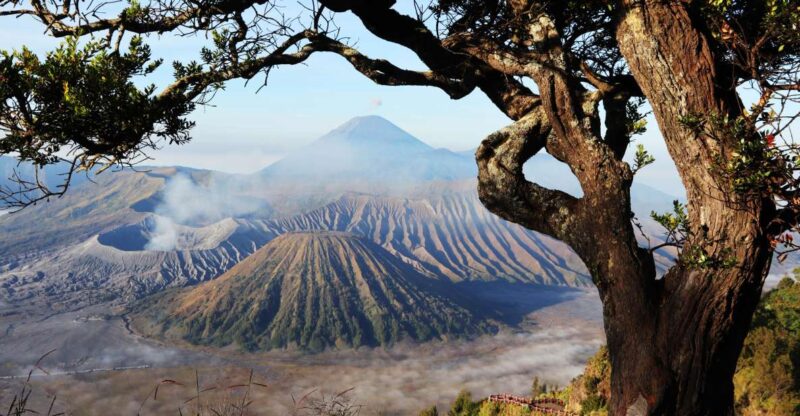 Join in Trip Bromo From Malang - Inclusions and Transportation