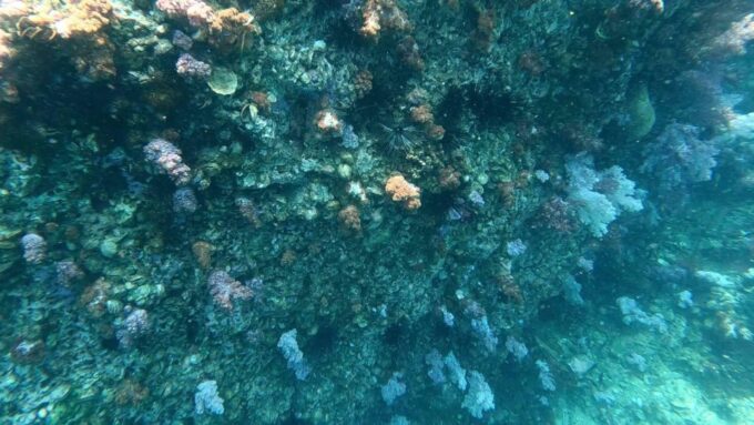 Join Snorkeling Trip 7 Spots Lunch Included - Departure and Meeting Point