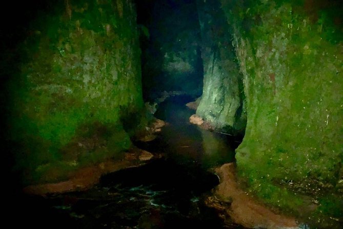 Join the Dark Side of Magical Nature - Meeting Point
