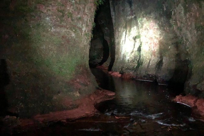 Join the Dark Side of Magical Nature - Tour Inclusions