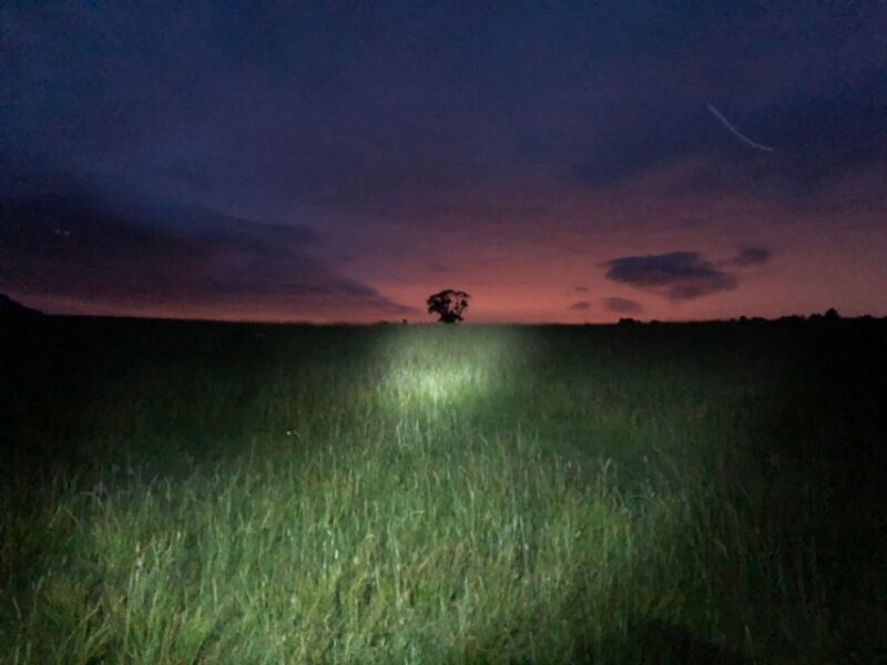 Join the Dark Side of Magical Nature - Illuminating Rock Formations