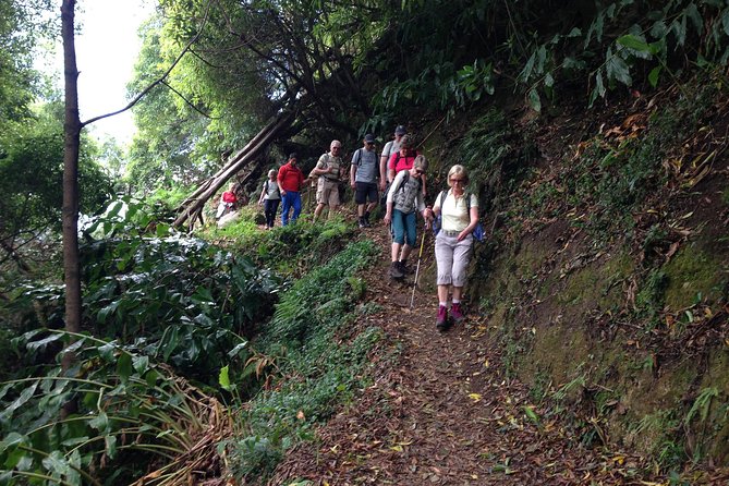 Join Us for the Amazing Sanguinho Forest Walk - About Your Stay