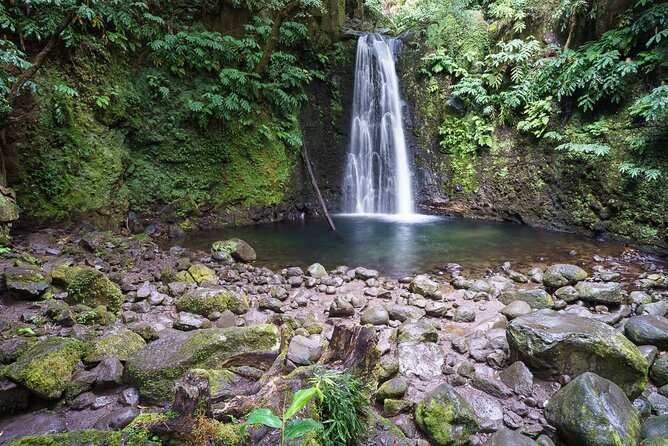 Join Us for the Amazing Sanguinho Forest Walk - Inclusions and Pickup Information