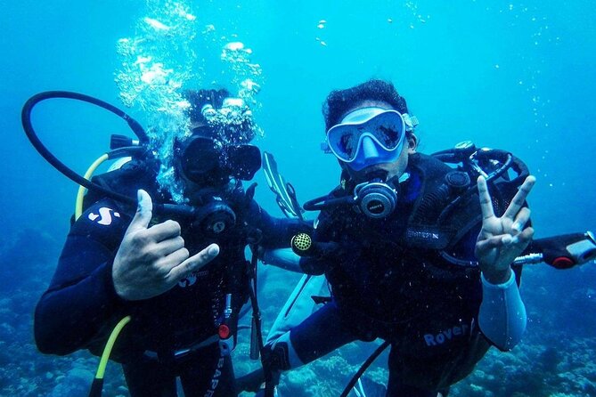Join Us for Your First Bubbles ! - Exploring the Marine Life