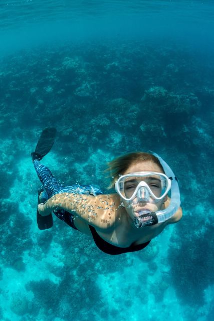 Join Us on a Snorkel Boat Tour - Guided Snorkeling Experience