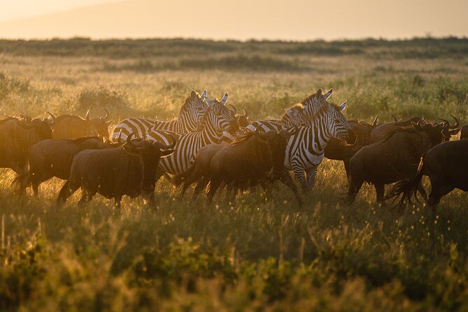Joining Safari Three Days From Mwanza - Packing Essentials