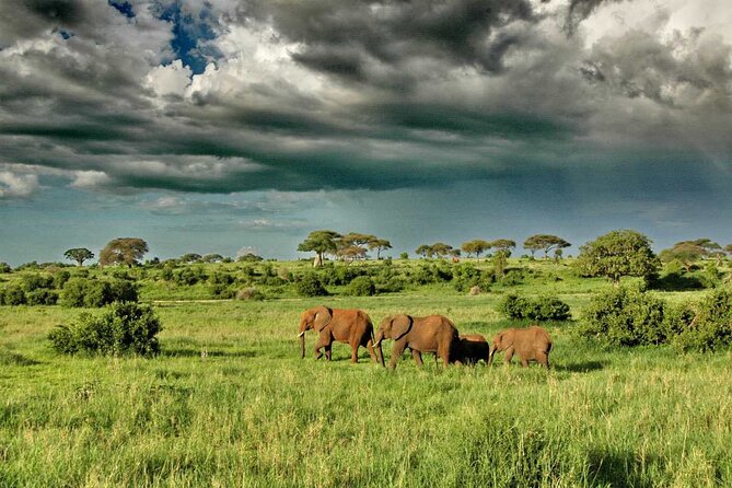 Joining Safari Three Days From Mwanza - Group Size
