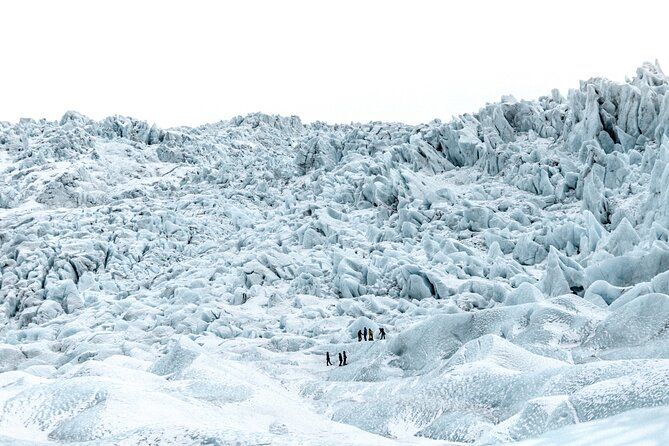 Jökulsárlón Glacier Lagoon 2 Day Tour & Optional Glacier Hike - Customer Reviews
