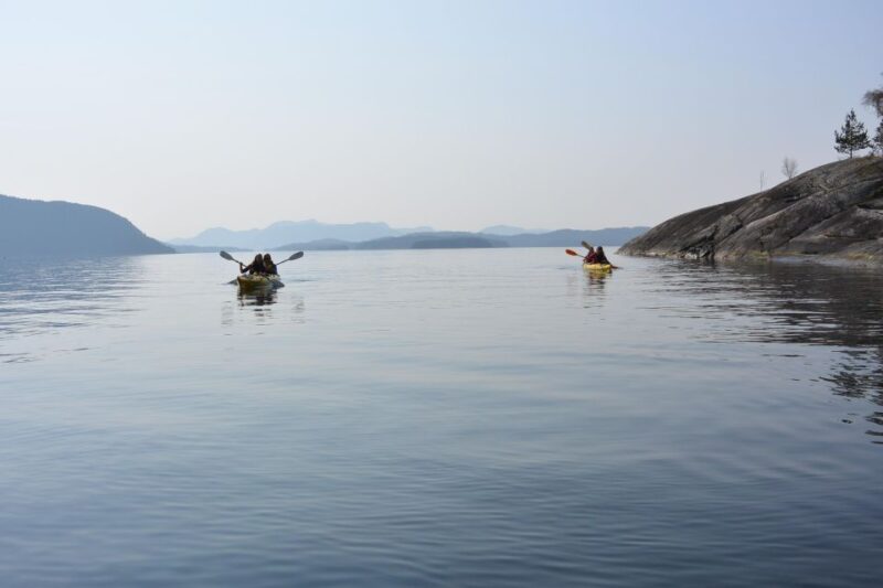 Jørpeland: Guided Fjord Tour Kayak - Key Points