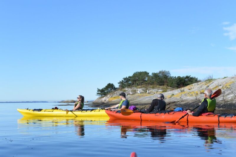 Jørpeland: Guided Fjord Tour Kayak - Customer Feedback