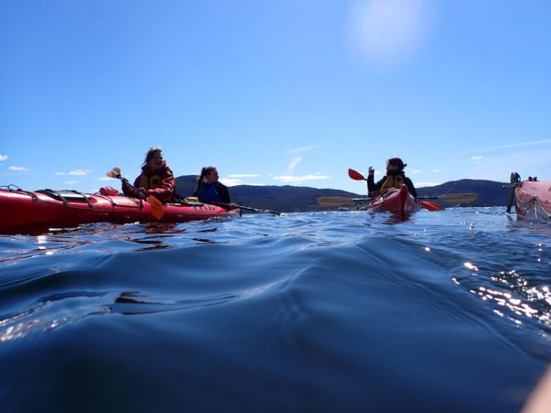 Jørpeland: Guided Fjord Tour Kayak - Tour Duration and Cost