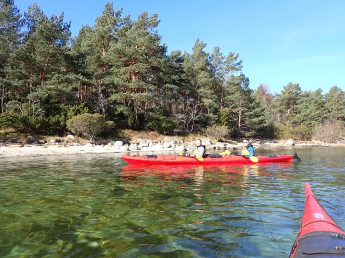 Jørpeland: Guided Fjord Tour Kayak - Kayak Features and Safety