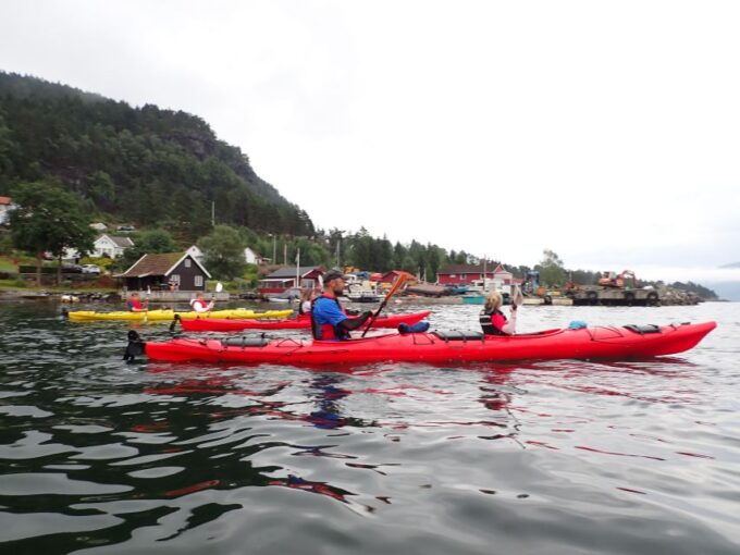 Jørpeland: Guided Fjord Tour Kayak - Scenic Views and Wildlife