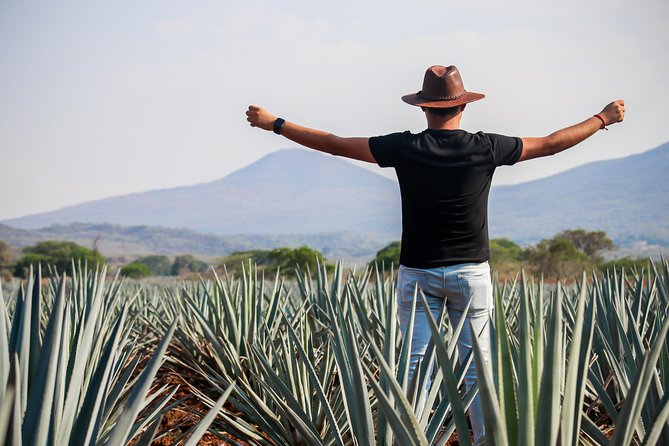 José Cuervo Tequila Day Experience From Guadalajara - Customer Reviews and Ratings