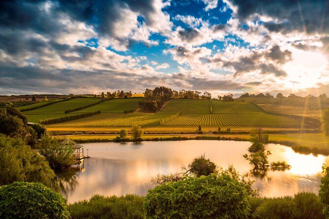 Josef Chromy Wines: Tour, Tasting and Lunch - Cellar Door Dining Experience