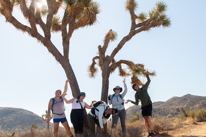 Joshua Tree Full Day Private Tour and Hike - Tour Details