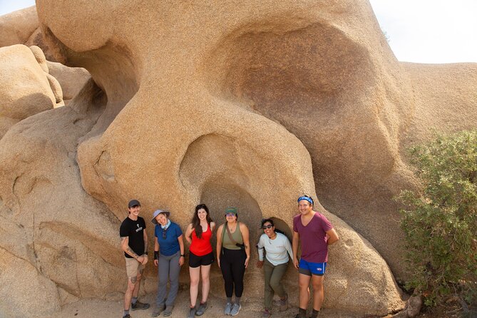 Joshua Tree Full Day Private Tour and Hike - Reviews and Ratings