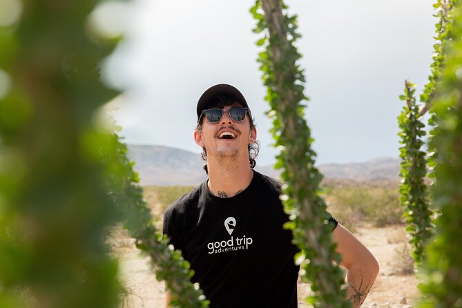 Joshua Tree Full Day Private Tour and Hike - Gourmet Picnic Lunch