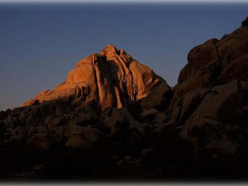 Joshua Tree: Half-Day Private Hike of the National Park - Included in the Tour