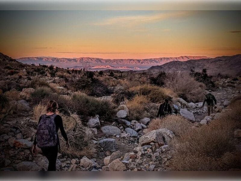 Joshua Tree: Half-Day Private Hike of the National Park - Meeting Point and Important Information