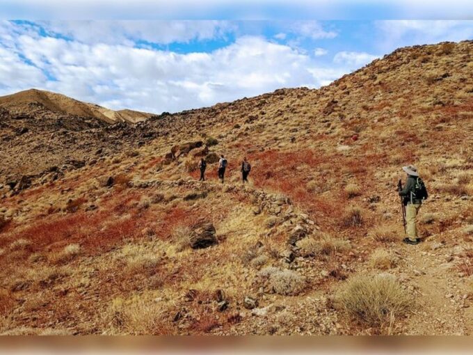 Joshua Tree: Half-Day Private Hike of the National Park - Explore Mojave Deserts Wonders
