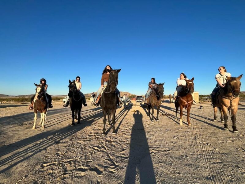Joshua Tree: Horseback Trail Riding Adventure With a Guide - Key Points