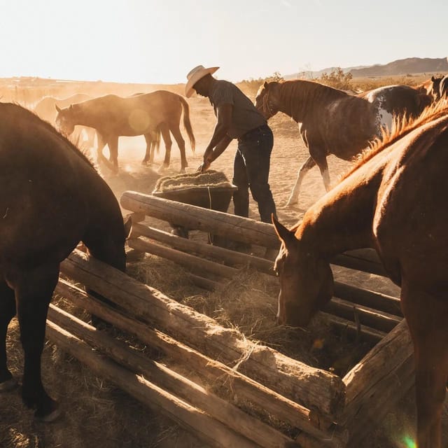 Joshua Tree: Horseback Trail Riding Adventure With a Guide - Exploring the Desert on Horseback