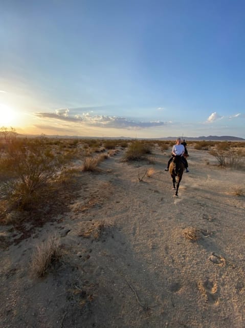 Joshua Tree: Horseback Trail Riding Adventure With a Guide - Sunset Ride Through Breathtaking Landscapes