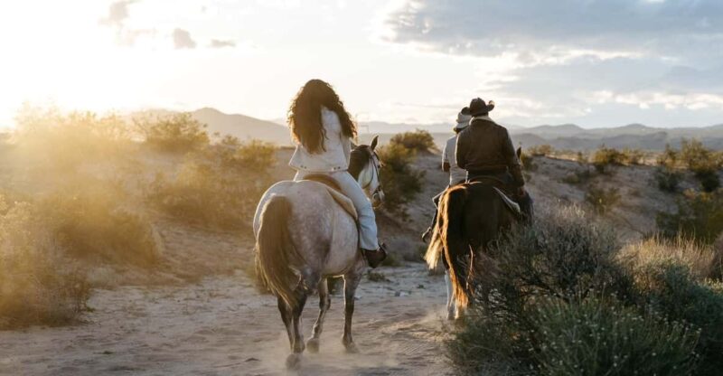 Joshua Tree: Horseback Trail Riding Adventure With a Guide - Connecting With Your Equine Companion