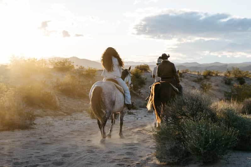 Joshua Tree: Horseback Trail Riding Adventure With a Guide - Learning About the Local Ecosystem